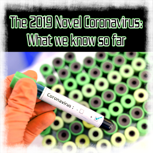 The_2019_Novel_Coronavirus-_What_we_know_so_far2.jpg